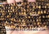 CTE2146 15.5 inches 5mm round yellow tiger eye beads wholesale