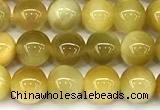 CTE2382 15 inches 6mm round golden tiger eye beads