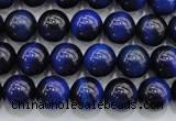 CTE416 15.5 inches 8mm round blue tiger eye beads wholesale