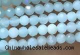 CTG1049 15.5 inches 2mm faceted round tiny amazonite beads