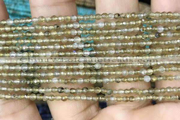 CTG1077 15.5 inches 2mm faceted round tiny labradorite beads