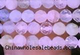 CTG1134 15.5 inches 3mm faceted round tiny morganite beads
