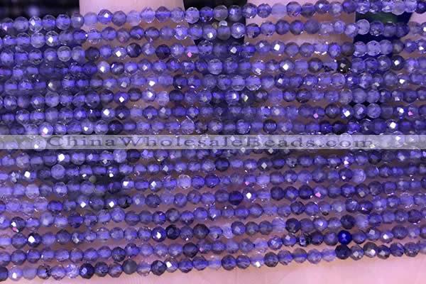 CTG1329 15.5 inches 2mm faceted round iolite beads wholesale
