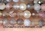 CTG1354 15.5 inches 4mm faceted round Botswana agate beads