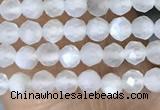 CTG1401 15.5 inches 2mm faceted round white moonstone beads wholesale