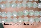 CTG1410 15.5 inches 2mm faceted round prehnite beads wholesale