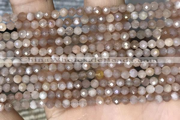 CTG1503 15.5 inches 3mm faceted round moonstone gemstone beads