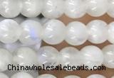 CTG1580 15.5 inches 4mm round white moonstone beads wholesale