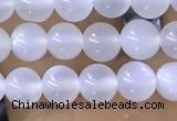 CTG1581 15.5 inches 4mm round white moonstone beads wholesale