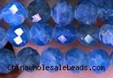 CTG1616 15.5 inches 5mm faceted round tiny apatite beads