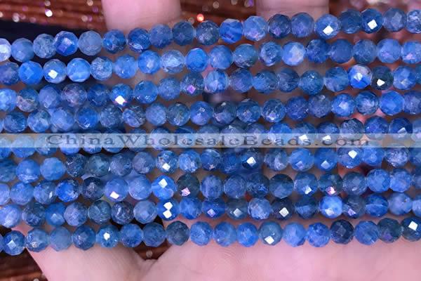 CTG1616 15.5 inches 5mm faceted round tiny apatite beads