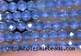 CTG1661 15.5 inches 2mm faceted round tiny apatite beads