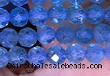 CTG1663 15.5 inches 3.5mm faceted round tiny apatite beads