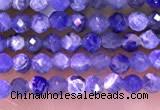 CTG1665 15.5 inches 2mm faceted round tiny sodalite beads