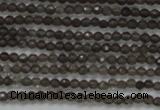 CTG200 15.5 inches 2mm faceted round tiny smoky quartz beads
