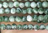 CTG2008 15 inches 2mm,3mm Qinghai jade beads