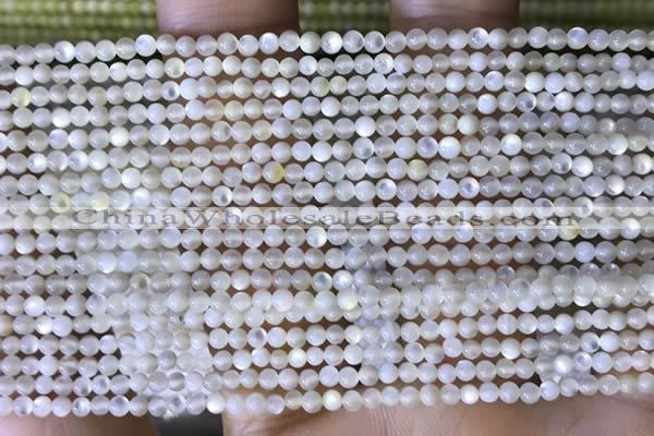 CTG2047 15 inches 2mm,3mm mother of pearl beads