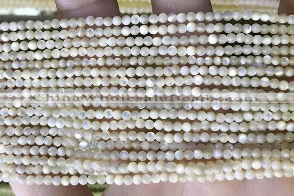 CTG2049 15 inches 2mm,3mm mother of pearl beads