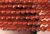 CTG2121 15 inches 2mm,3mm faceted round red agate gemstone beads