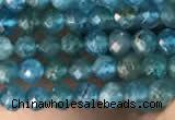 CTG2130 15 inches 2mm,3mm faceted round apatite gemstone beads