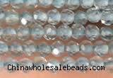 CTG2131 15 inches 2mm,3mm faceted round apatite gemstone beads