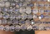 CTG2133 15 inches 2mm,3mm faceted round labradorite gemstone beads