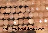 CTG2138 15 inches 2mm,3mm faceted round sunstone gemstone beads