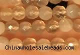 CTG2209 15 inches 2mm,3mm faceted round botswana agate beads