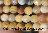 CTG2219 15 inches 2mm,3mm faceted round crazy lace agate beads