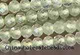 CTG2246 15 inches 2mm faceted round natural prehnite beads