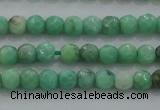 CTG225 15.5 inches 3mm faceted round tiny grass agate beads