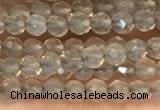 CTG2255 15 inches 2mm faceted round grey agate beads