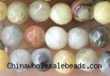 CTG2536 15.5 inches 4mm faceted round crazy lace agate beads