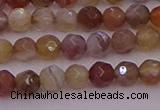 CTG514 15.5 inches 4mm faceted round tiny botswana agate beads