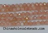 CTG607 15.5 inches 3mm faceted round peach moonstone beads
