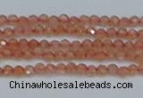 CTG609 15.5 inches 2mm faceted round golden sunstone beads