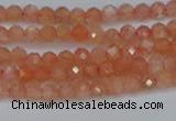 CTG610 15.5 inches 3mm faceted round golden sunstone beads
