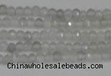 CTG612 15.5 inches 2mm faceted round labradorite beads
