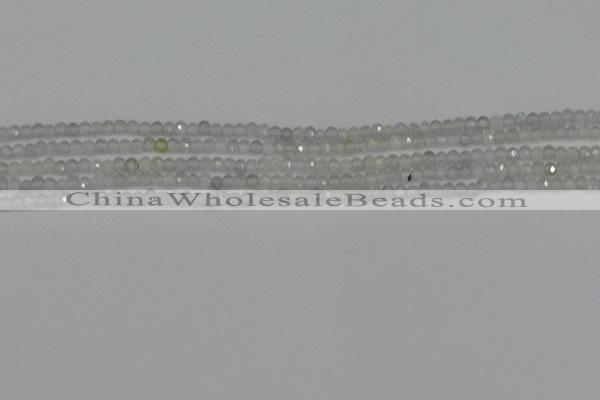 CTG612 15.5 inches 2mm faceted round labradorite beads