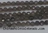 CTG639 15.5 inches 2mm faceted round smoky black obsidian beads