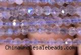 CTG701 15.5 inches 3mm faceted round tiny labradorite beads