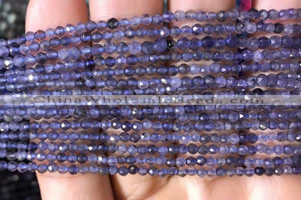 CTG753 15.5 inches 2mm faceted round tiny iolite gemstone beads