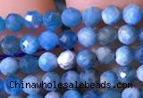 CTG760 15.5 inches 3mm faceted round tiny apatite gemstone beads