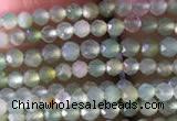 CTG821 15.5 inches 2mm faceted round tiny Australia chrysoprase beads