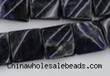 CTW355 15.5 inches 16*16mm twisted square sodalite gemstone beads