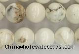 CWB801 15.5 inches 6mm round white howlite turquoise beads