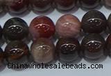 CWJ503 15.5 inches 10mm round Xinjiang wood jasper beads wholesale