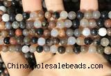 CWJ569 15.5 inches 6mm round Arizona petrified wood jasper beads