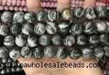 CZJ415 15.5 inches 14mm round green zebra jasper beads wholesale