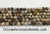 CZJ422 15.5 inches 8mm round Australian zebra jasper beads wholesale